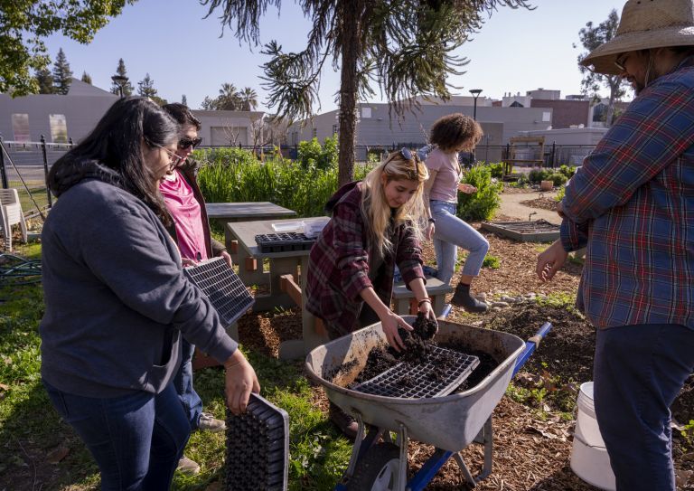 Robb Garden 2019
