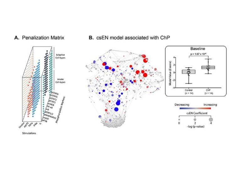 A cell signaling–based elastic net (csEN) analysis identifies systemic immune signaling features associated with chronic periodontitis (ChP). (A) We adapted a previously implemented cell signaling–based penalization matrix for the csEN analysis that accounted for whether a cell type– and receptor-specific signaling response to each stimulation condition is supported by prior knowledge of signal transduction pathways. (B) (Left panel) The csEN identified immune signaling features that differentiate samples f