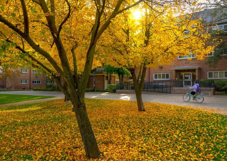 fall colors on campus