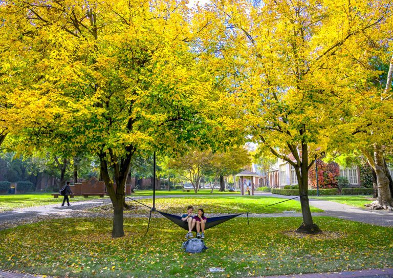 students sit on a hammock