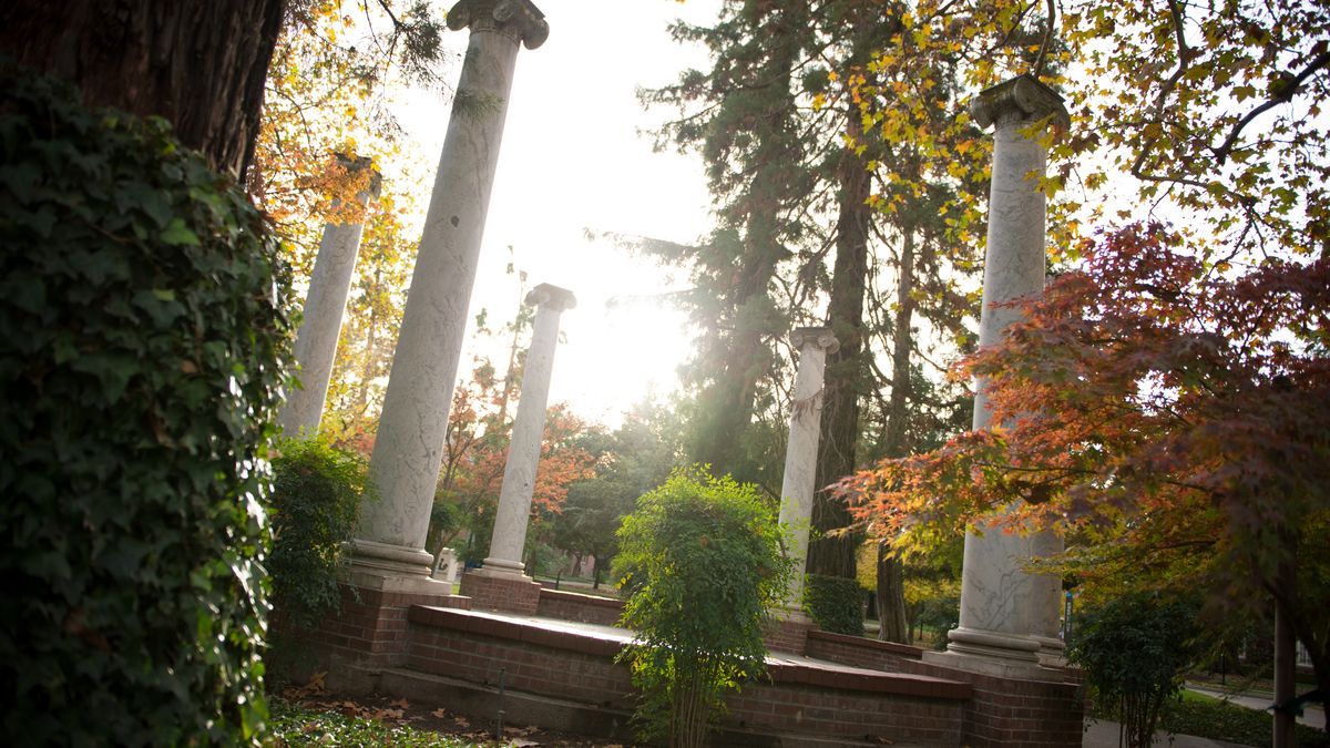 columns