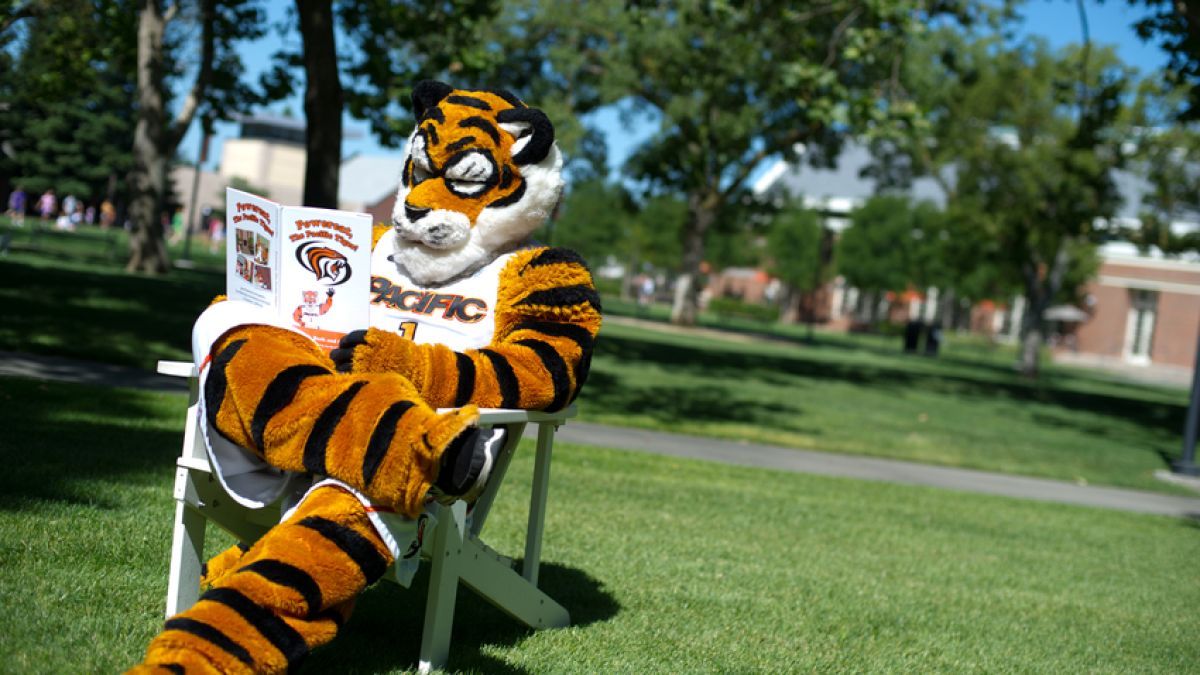 Powercat reading
