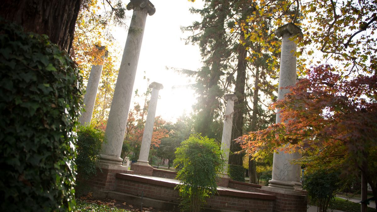 Autumn leaves against the Columns