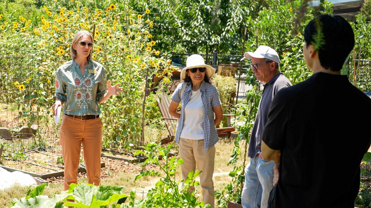 four people stand in a community garden