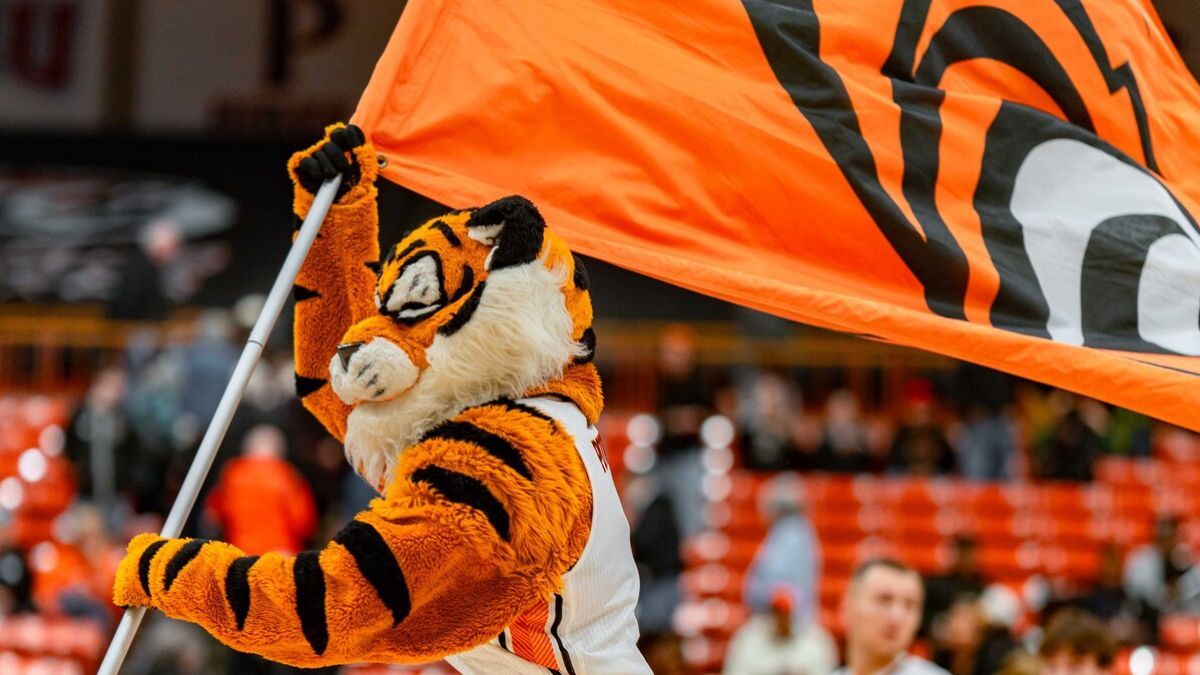 Powercat runs through the Spanos Center holding a flag with the Tigers logo