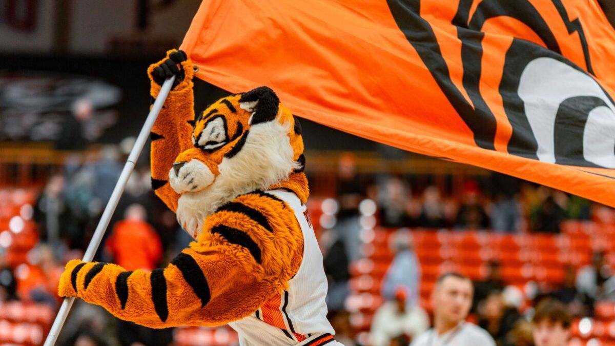 powercat holds a flag