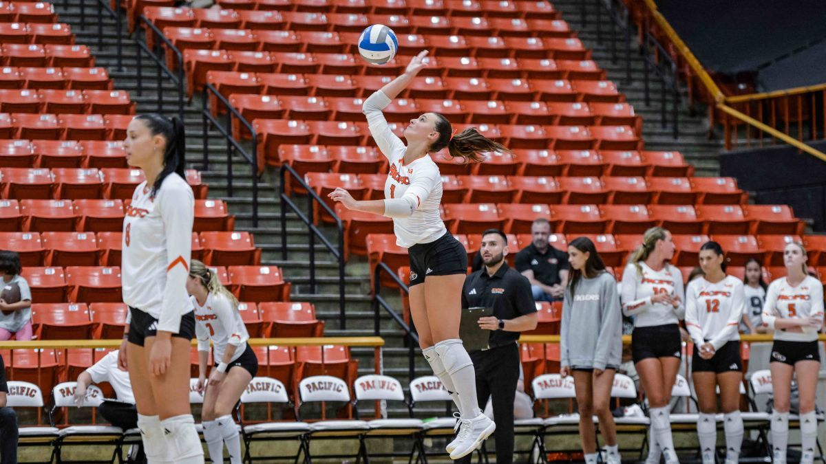 Volleyball player