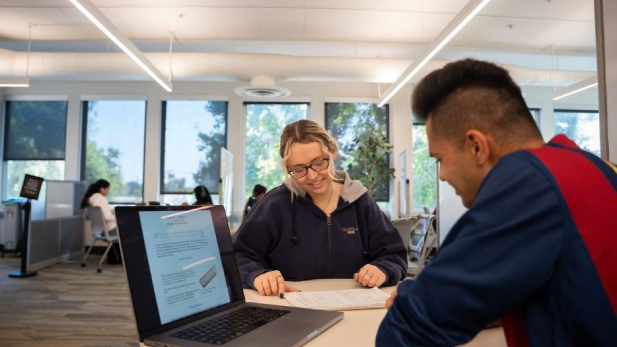 Two students studying in the library 