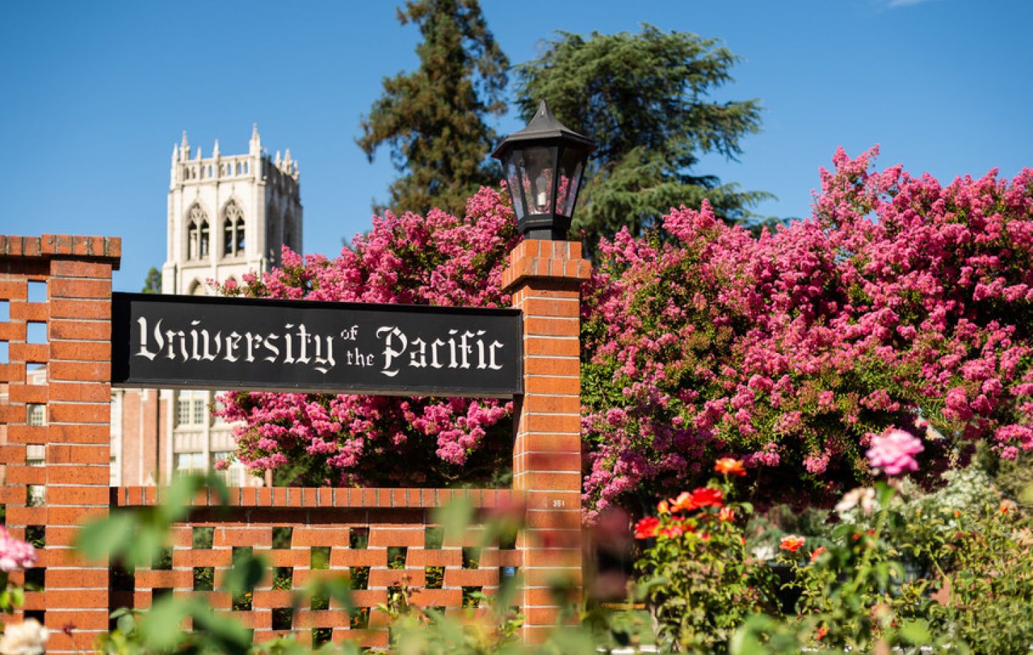 best history programs colleges uc best history programs colleges uc