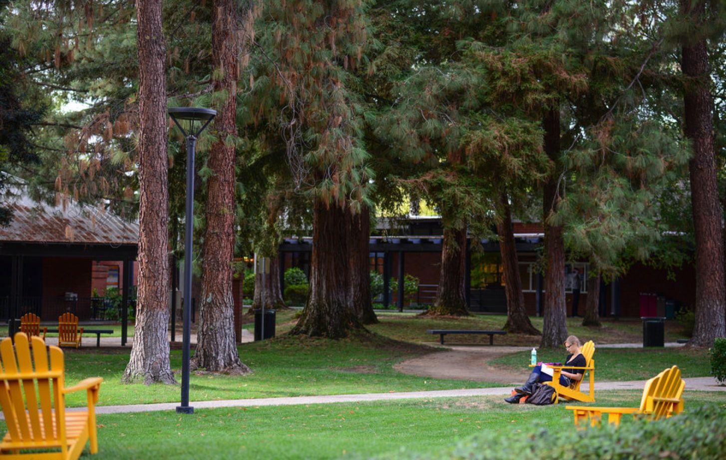 A student reading on the Sacramento Campus.