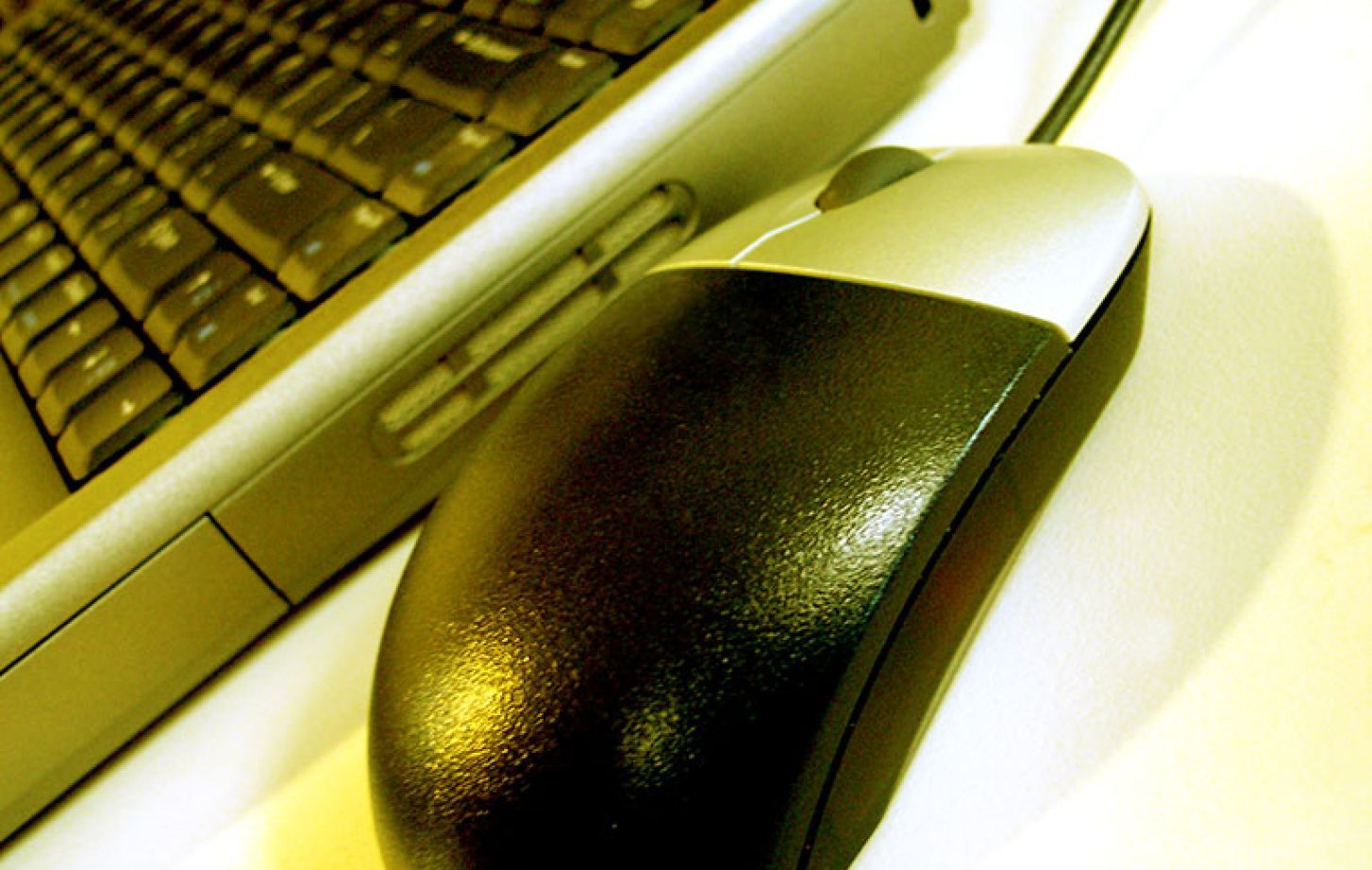 computer and mouse
