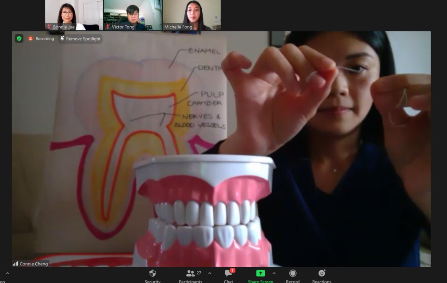 SCOPE volunteer gives presentation over Zoom