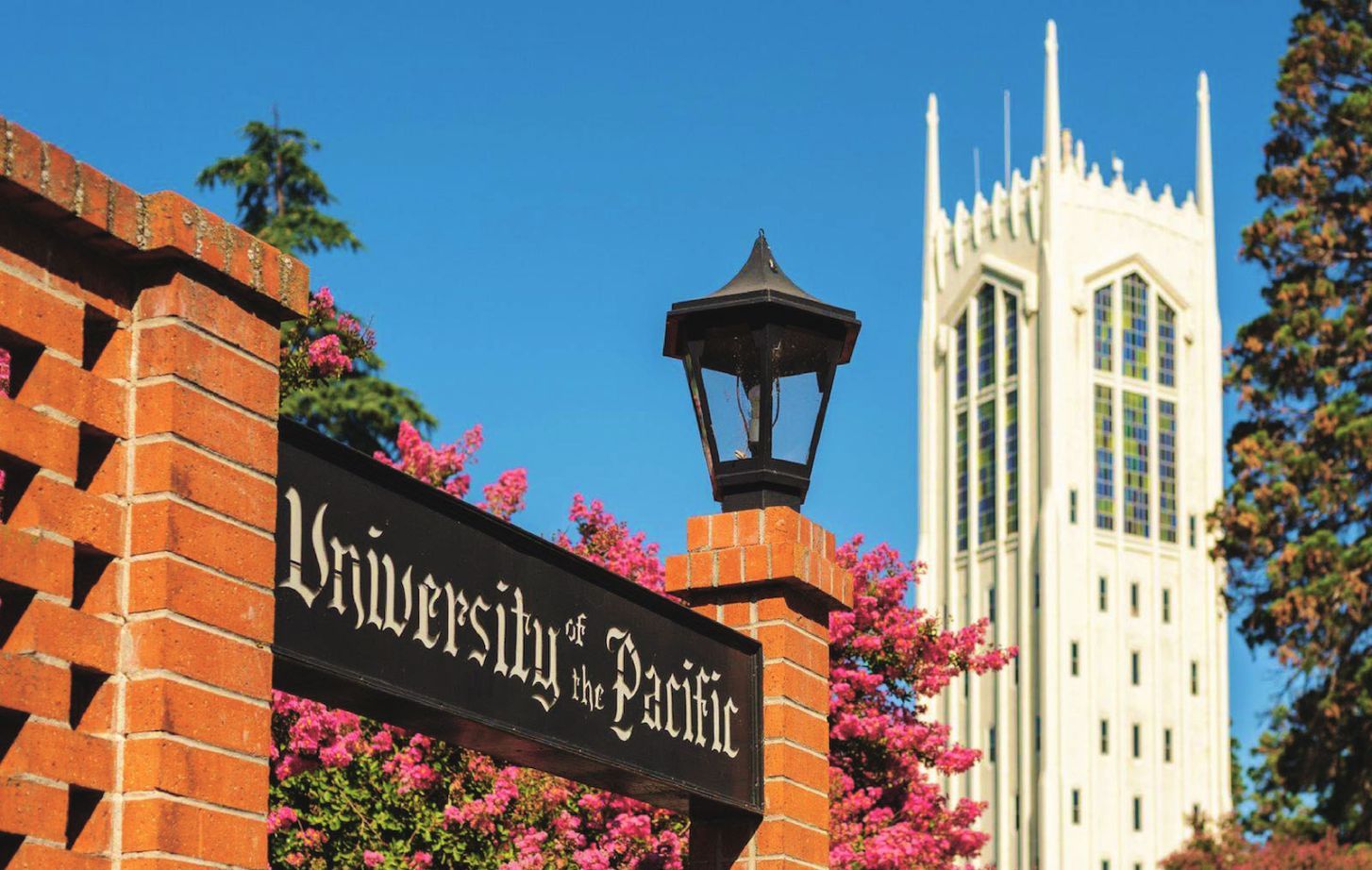 Pacific university