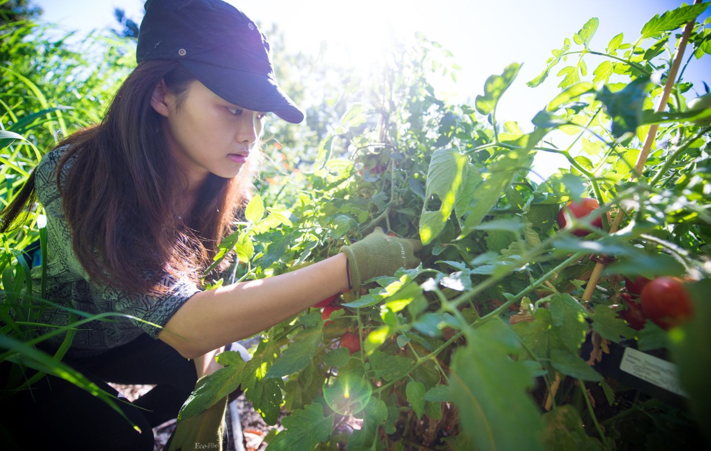 Student Working in Robb Garden