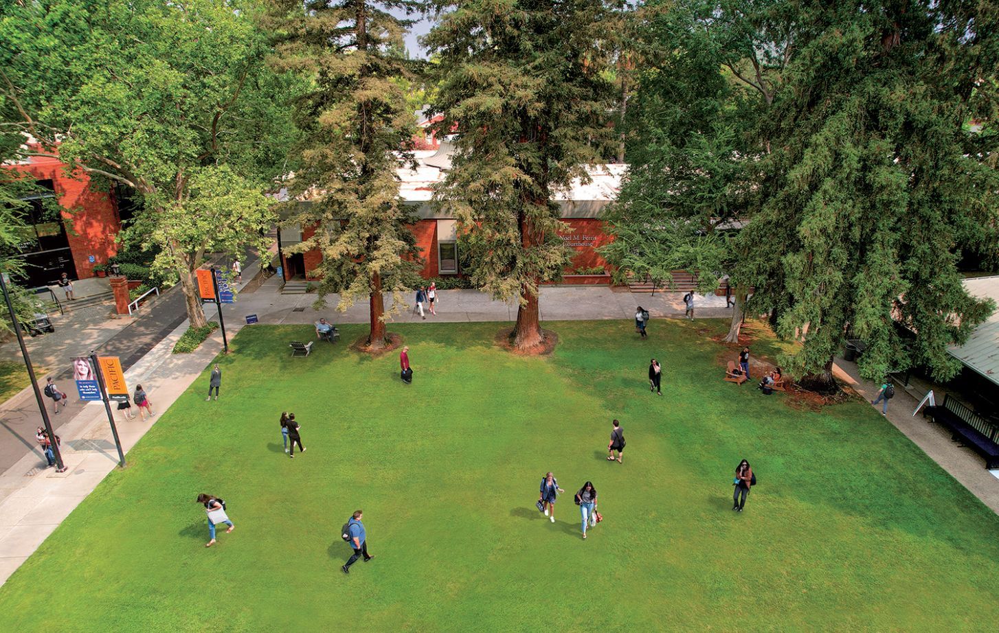 An aerial view of the Sacramento campus quad. Approximately 20 students are pictured in various locations on the quad. Lots of greenery and trees are visible.