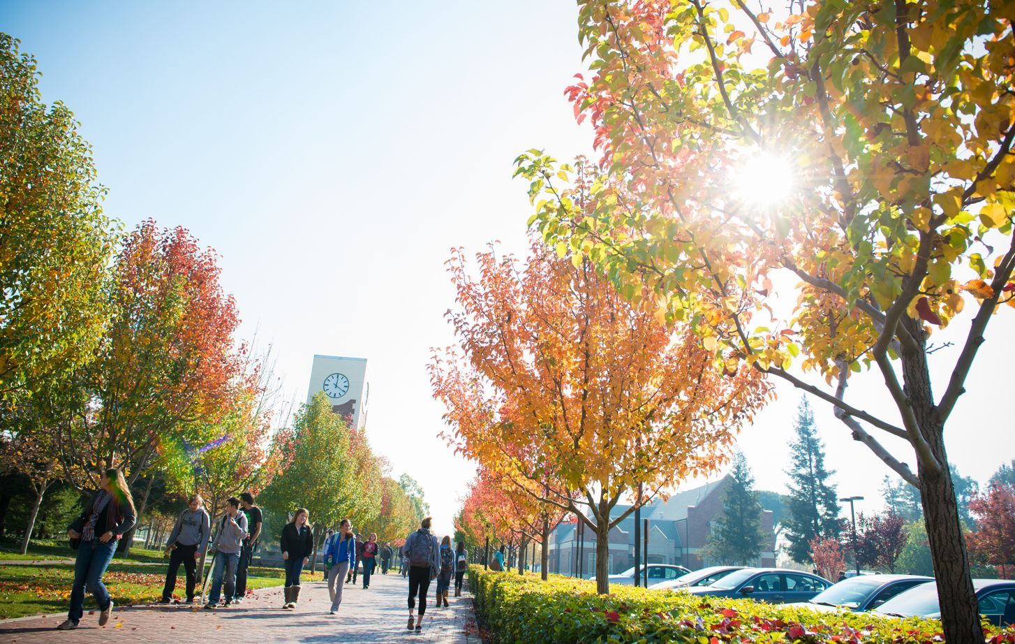 fall campus beauty