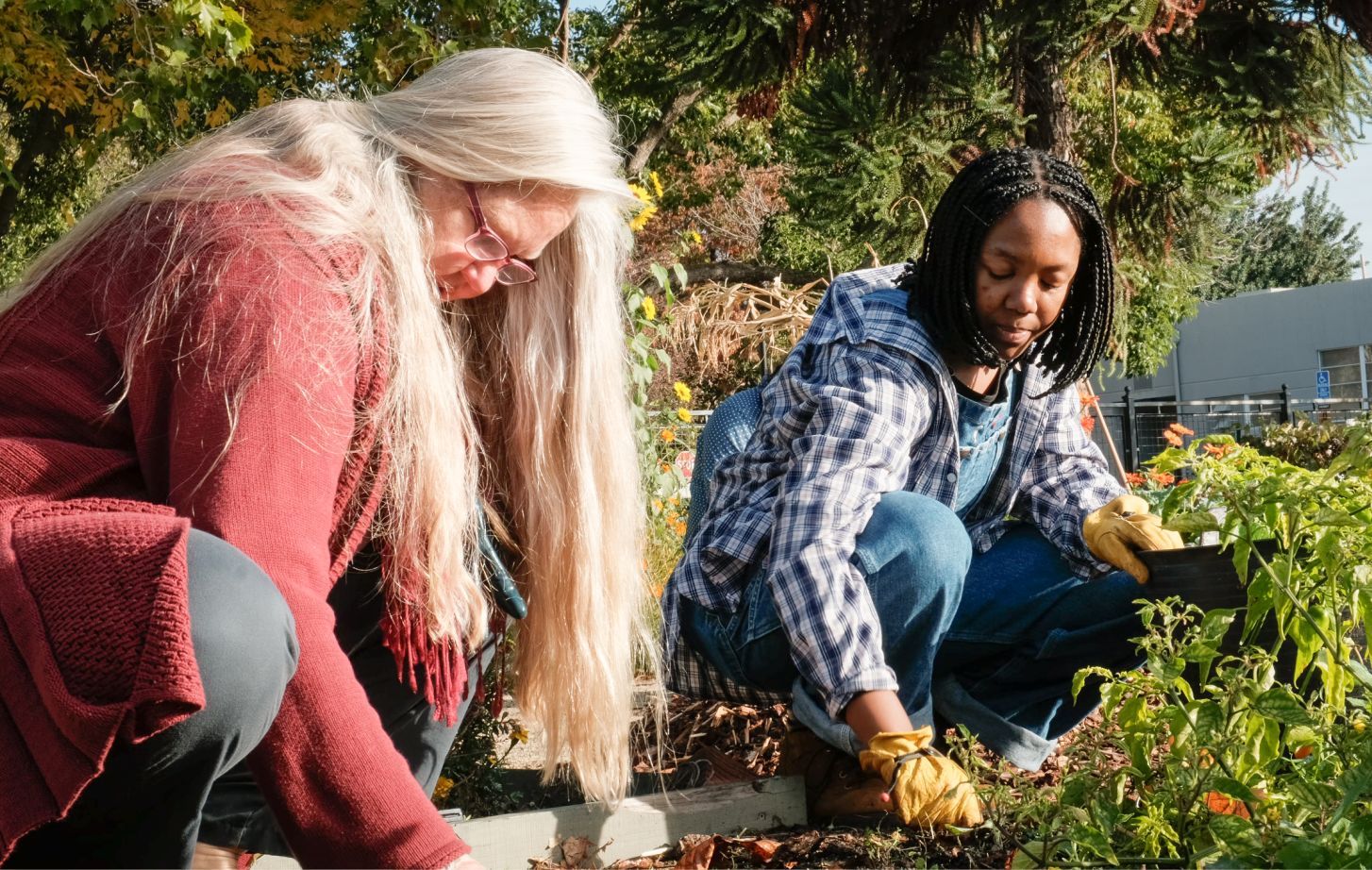 Sustainability at Pacific