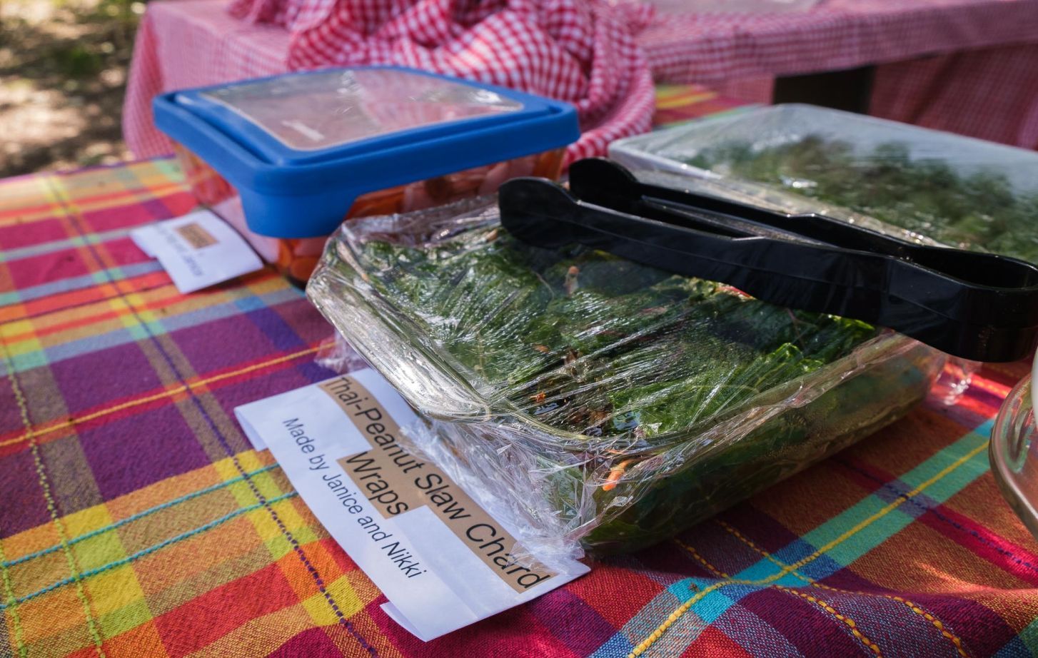 Thai-peanut slaw wrapped in chard