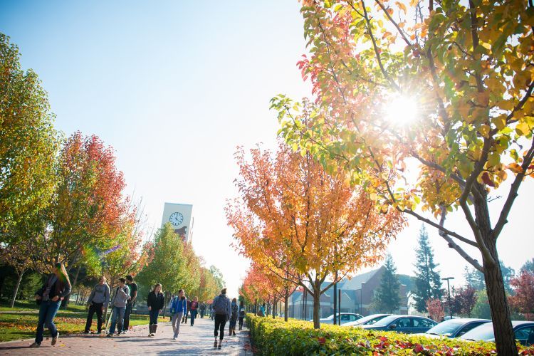 fall campus beauty