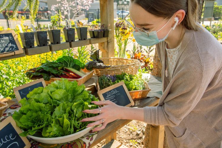 student gardener