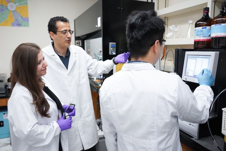 researchers looking at computer in lab