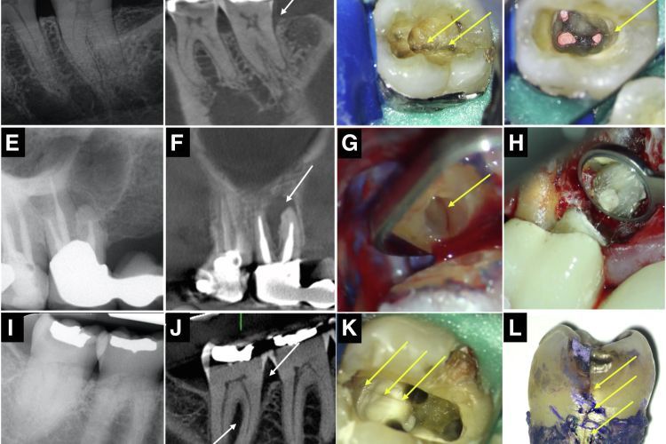 Faculty diversity, equity, and inclusion in academic dentistry Has