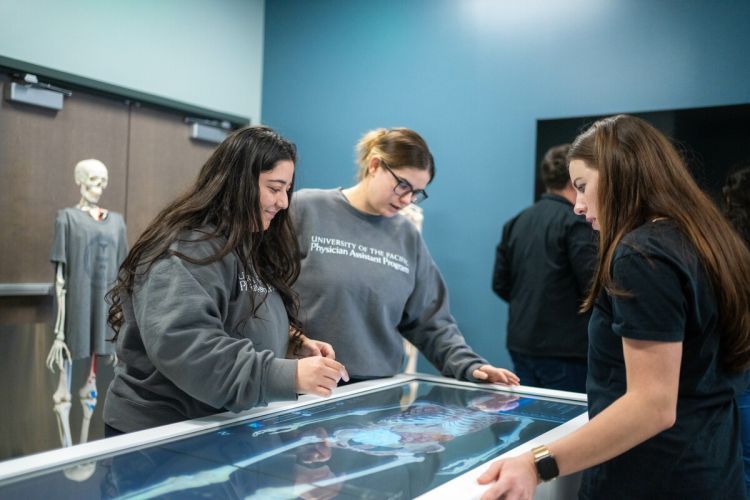 Students use an Anatomage table