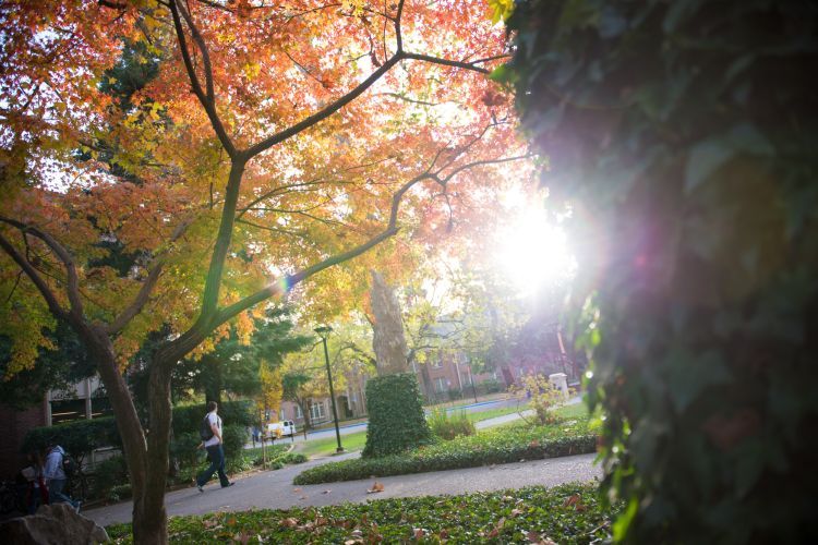 fall on campus