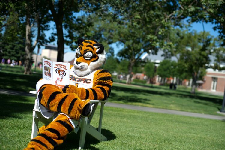 Powercat reading