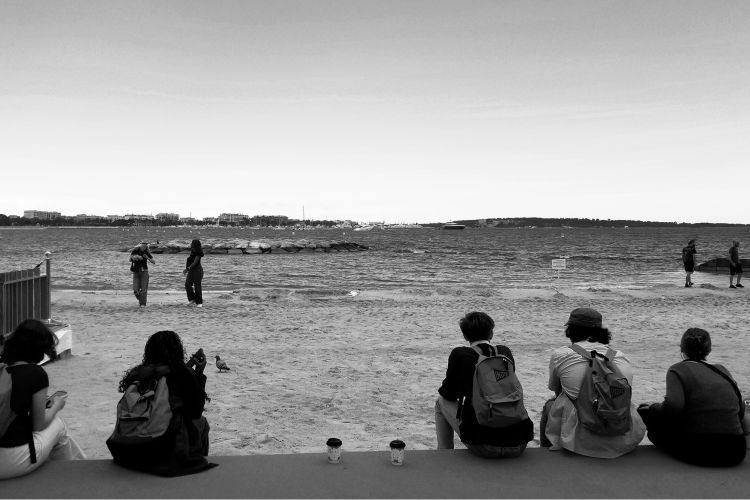 cannes 4