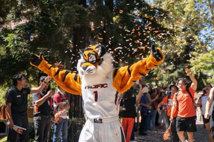 Powercat at Tiger Roar