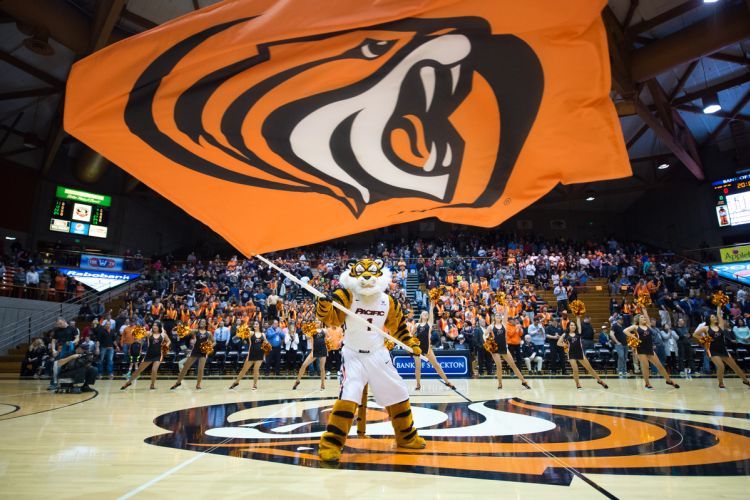 Powercat waves a flag with the mascot.