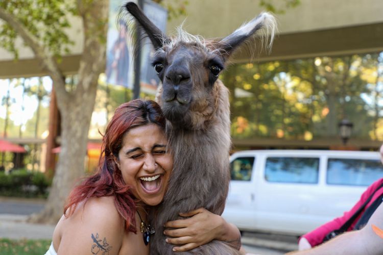A woman hugs a llama. 
