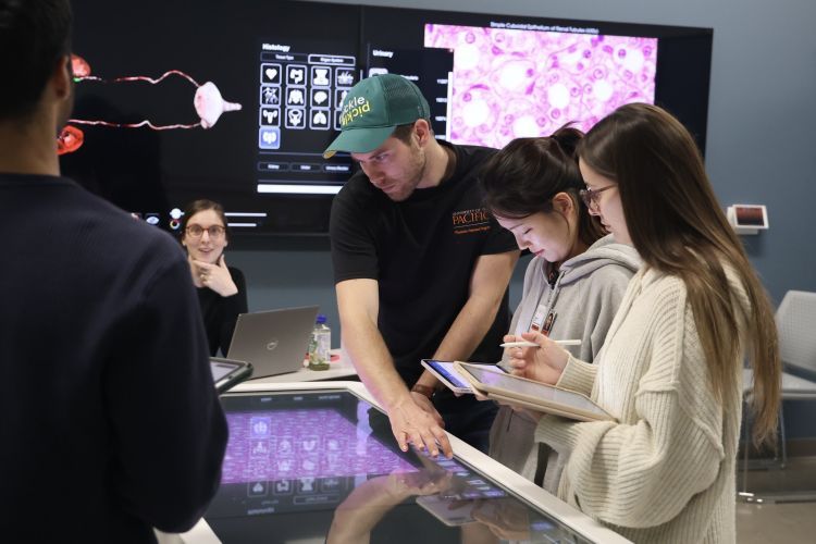 Physician Assistant students working with an anatomage table