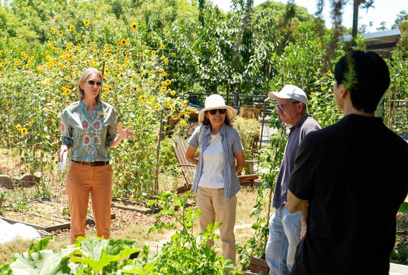 four people stand in a community garden
