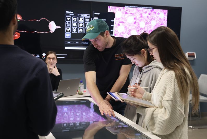 Physician Assistant students working with an anatomage table