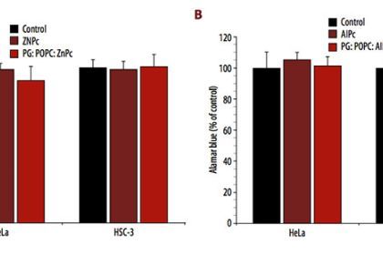 Dark toxicity of 1 µM free and liposomal ZnPc (A) and AlPc (B) on the viability of HeLa and HSC-3 cells. The metabolic activity was measured by the Alamar Blue assay and expressed as a percentage of the control (control cells). Each value is a mean ± standard deviation (SD) of 2 or 3 independent experiments performed in triplicate.