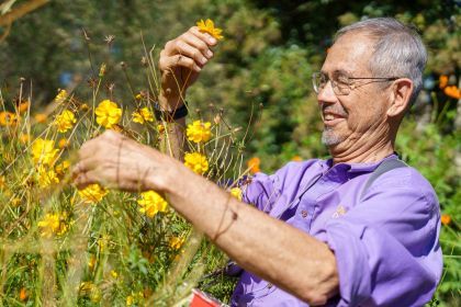 Peter Jacobsen stands in a garden picking yellow flowers