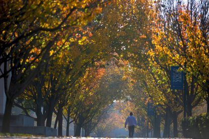 the stockton campus in the fall