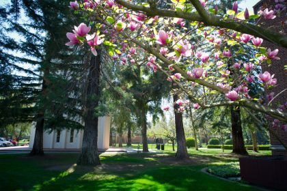 University of the Pacific campus beauty