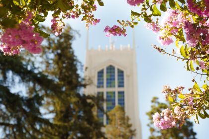 Burns Tower viewed through flowering greenery.