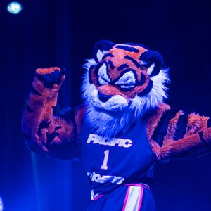 Power Cat