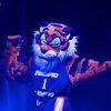 Power Cat
