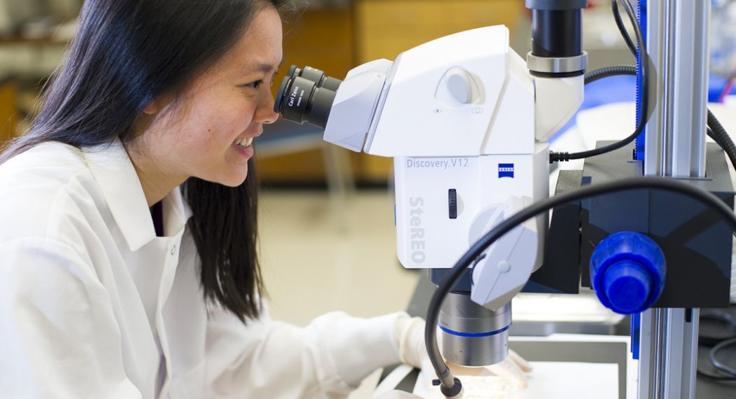 biology student using microscope