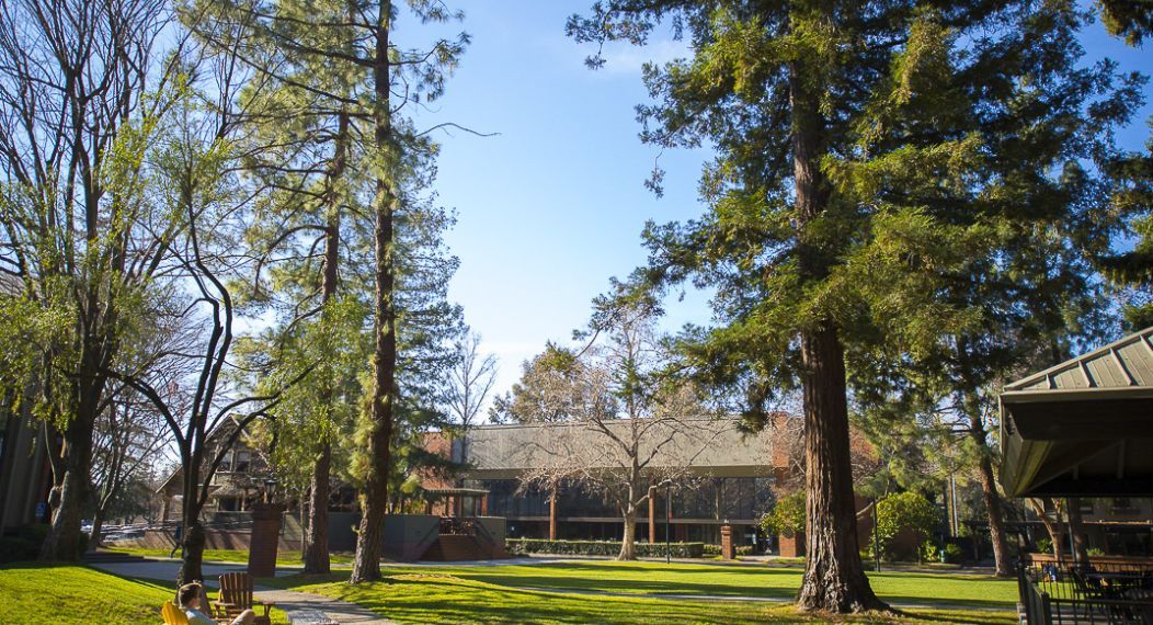 The McGeorge Quad