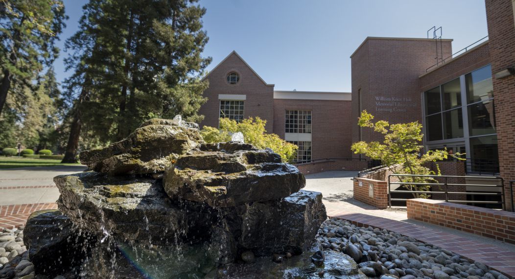 library water feature