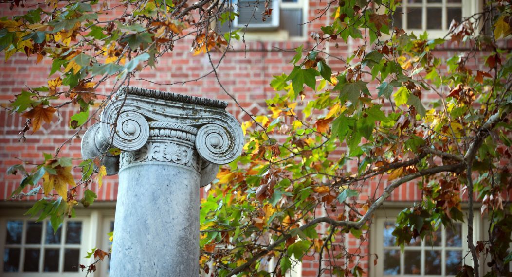 Column in fall 