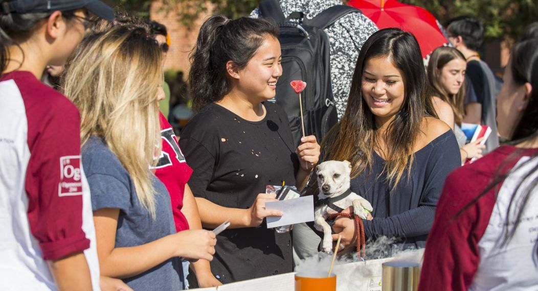 Students at a club fair