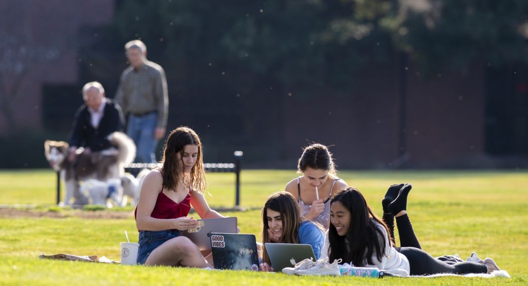 Students on the lawn