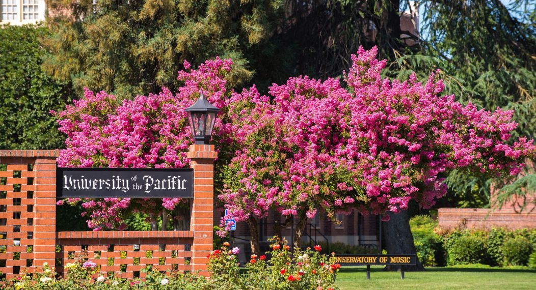 university sign with spring blooms in background